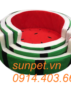 Phụ kiện thú cưng