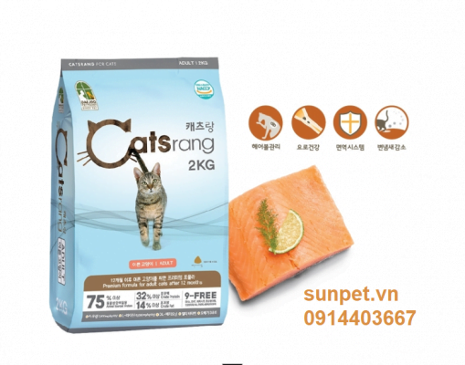 catsrang cho meo truong thanh