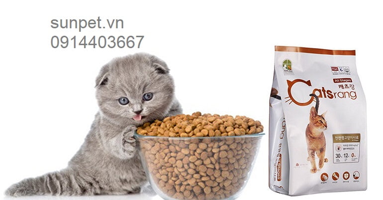 thuc-an-cho-meo-catsrang-2 meo-an-gi