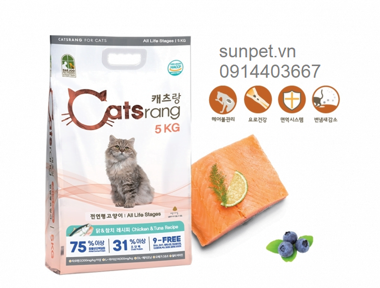 thuc-an-cho-meo-moi-lua-tuoi-catsrang thuc an cho meo moi lua tuoi catsrang